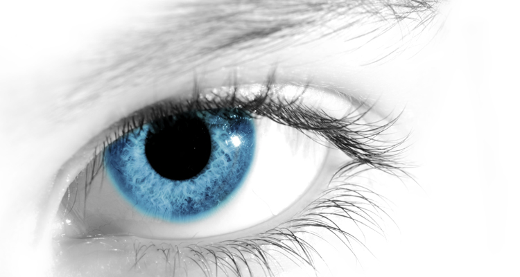 ΚΕΡΑΤΟΚΩΝΟ