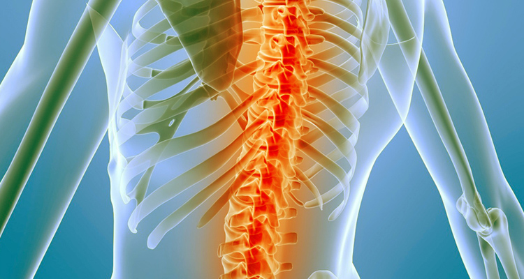 σπονδυλική στήλη