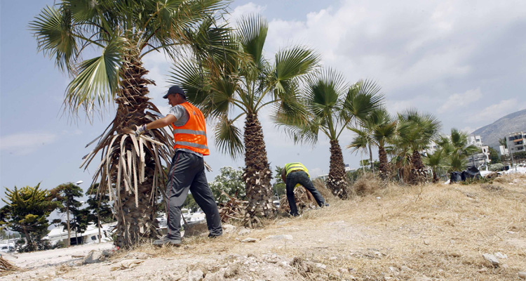 ΔΗΜΟΣ ΓΛΥΦΑΔΑΣ