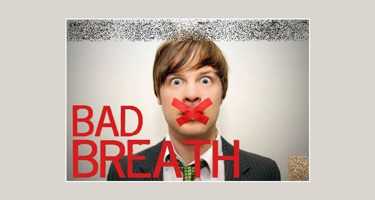 ΚΟΚΚΟΡΗ ΓΕΩΡΓΙΑ - ΓΥΛΥΦΑΔΑ