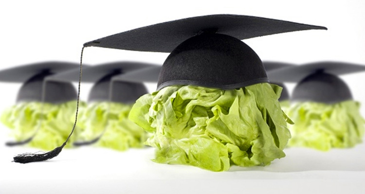 ΕΓΚΕΦΑΛΟΣ-ΔΙΑΤΡΟΦΗ