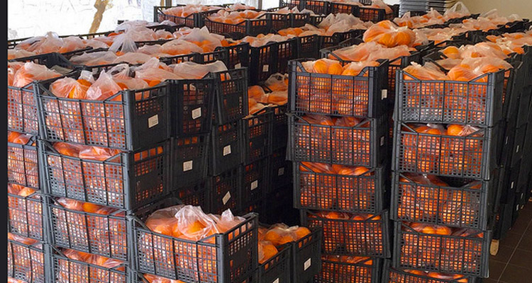 ΔΗΜΟΣ ΓΛΥΦΑΔΑΣ