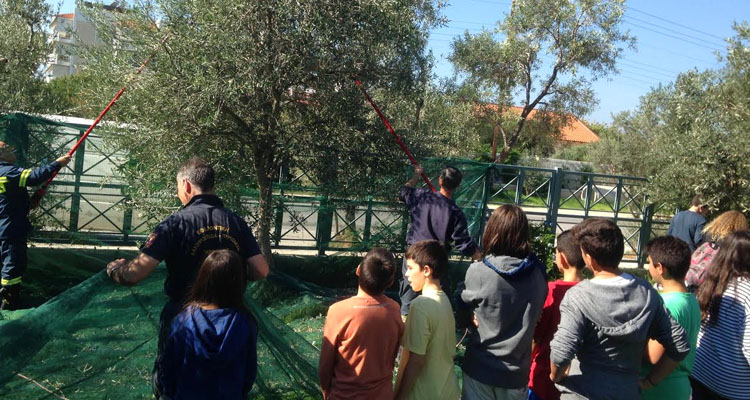 ΔΗΜΟΣ ΓΛΥΦΑΔΑΣ