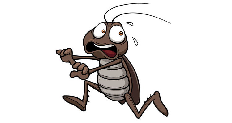 κατσαρίδες