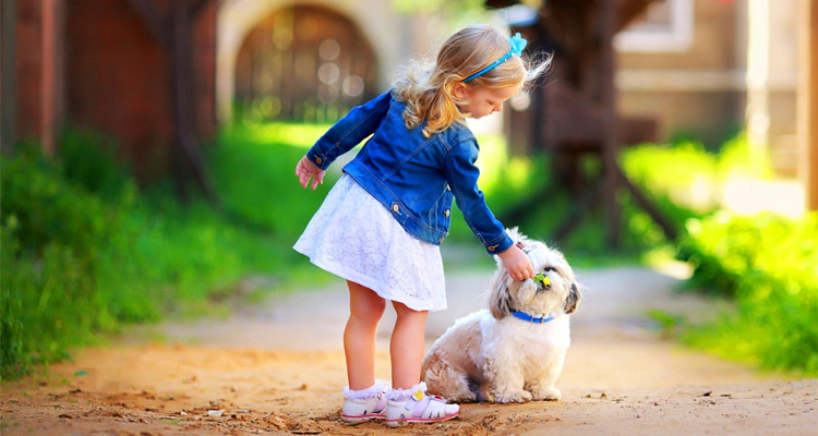 Γιάννης Ξηντάρας: