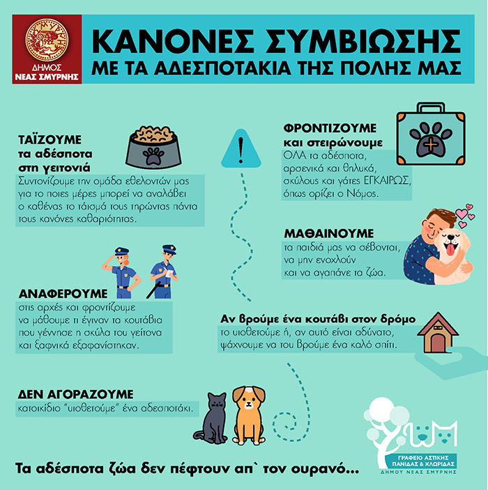 συμβίωση με τα αδεσποτάκια