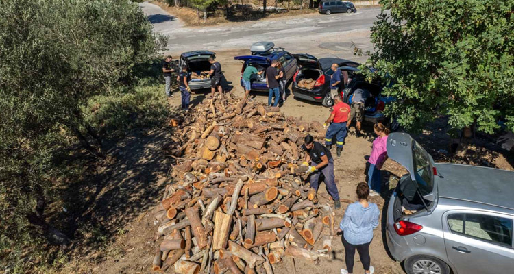 διανομή ξυλείας