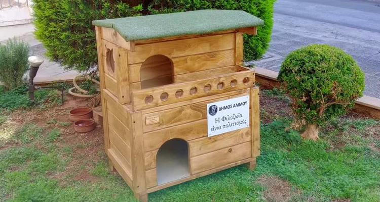 αδέσποτες γατούλες