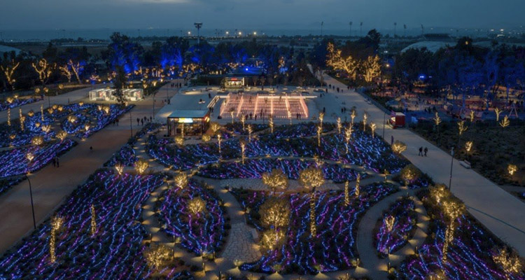 Χριστουγεννιάτικη εμπειρία